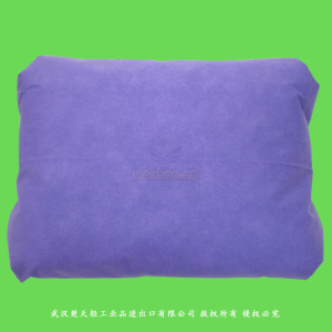 Disposable Hospital Pillow Cover